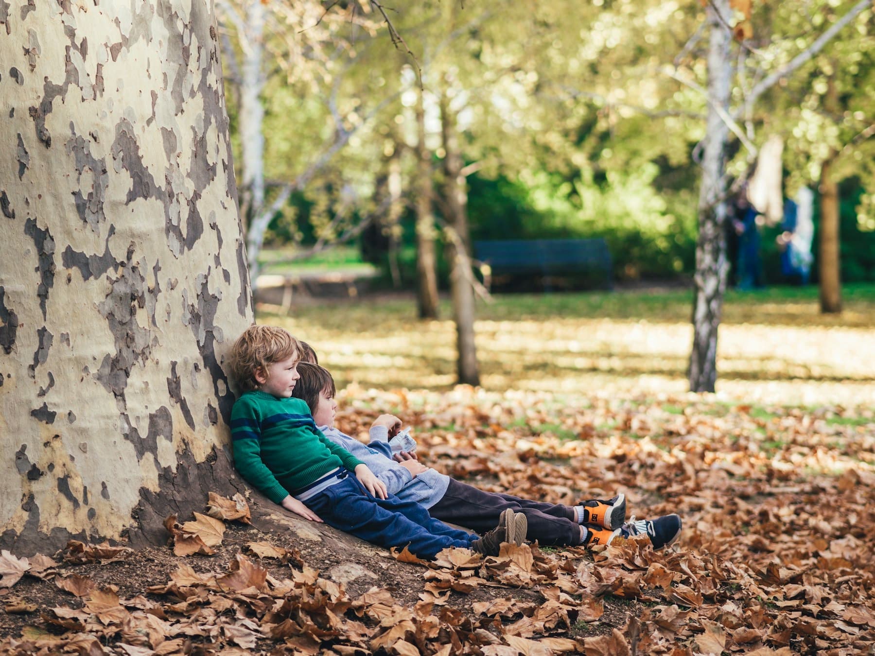 Children playing outdoors in Adelaide Botanic Garden